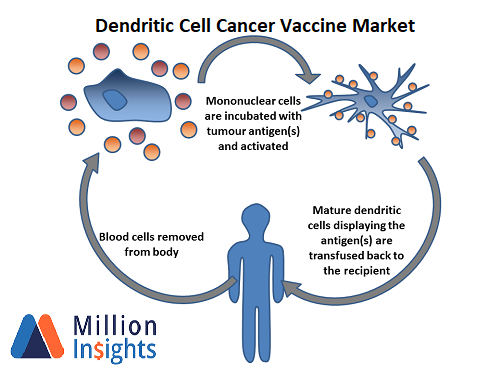 Dendritic Cell Cancer Vaccine Market Is Expected To Show A Significant Growth During The Forecast Period 2017 2022 Market Herald